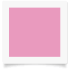 7.2MM / SIZE 12 • BABY SNAP BUTTON