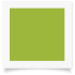 7.2MM / SIZE 12 • BABY SNAP BUTTON