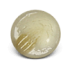 DECORATIVE SNAPS • MARBLE PEARL SNAP BUTTONS